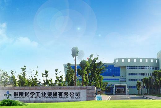 弘宇地產(chǎn)啟動“江山序”項目全員營銷