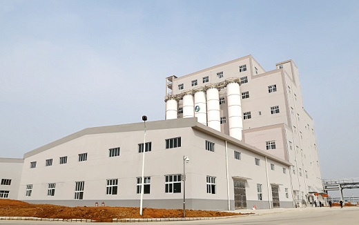 我省聚酰胺6聚合領(lǐng)域首個項目  嘉合切片項目投料試車一次成功