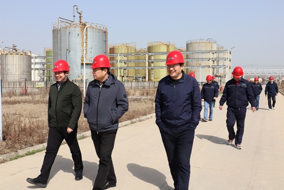 集團領(lǐng)導赴六國兩子公司調(diào)研指導工作